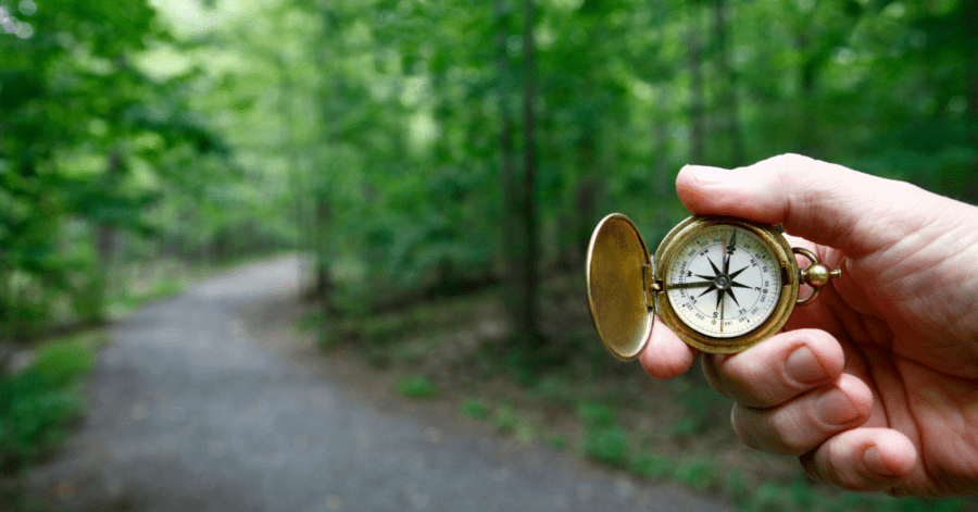 Navigating the dark woods of Latin language learning.
