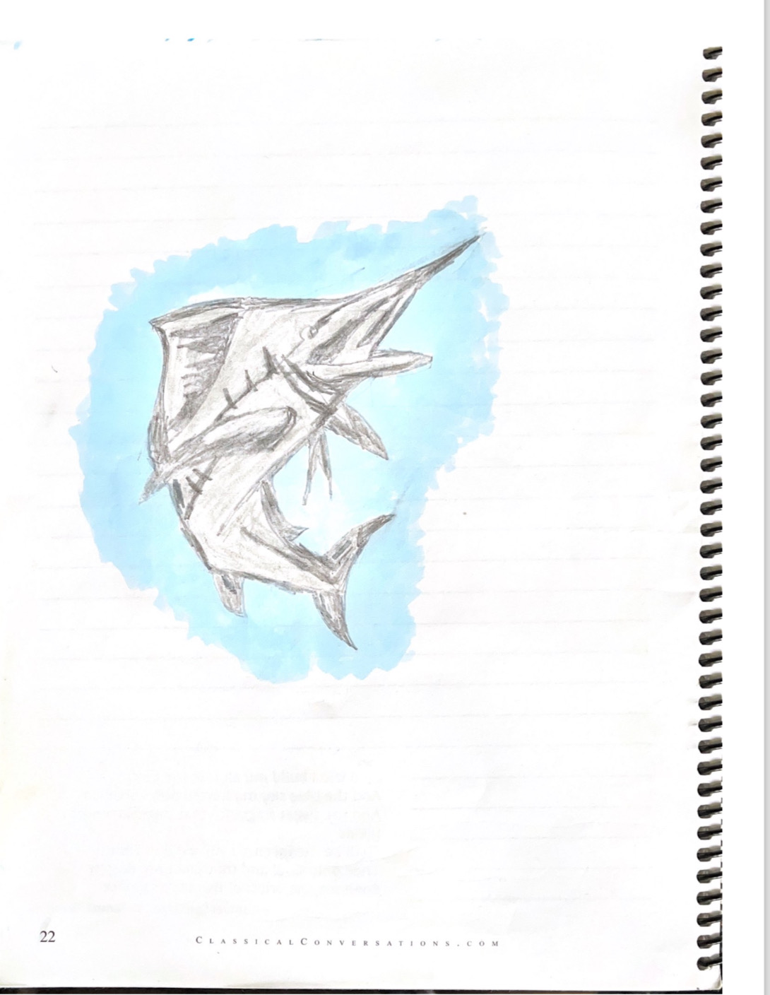 nature drawing for homeschool of a big fish
