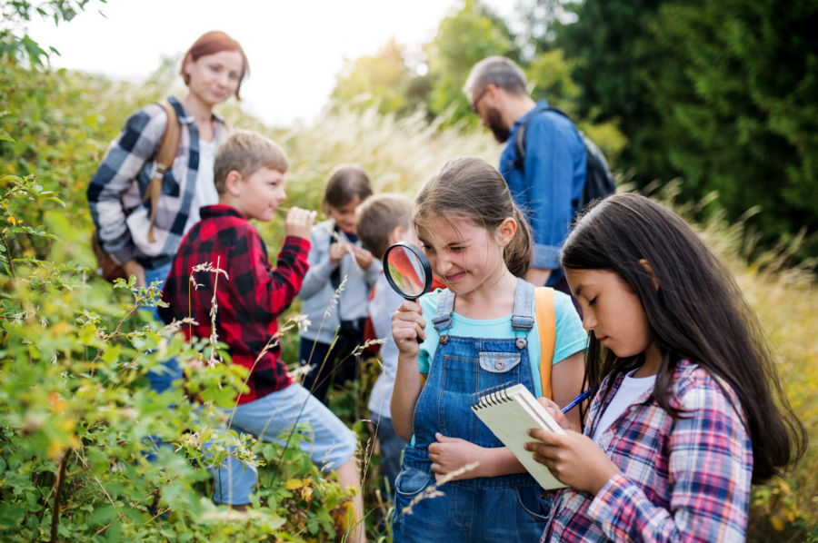 Children go for a nature walk, following the Mason method.