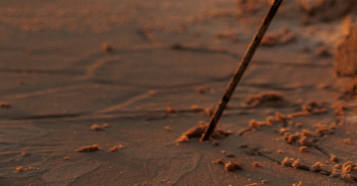 Stick in the Sand Classical ConversationsClassical Conversations