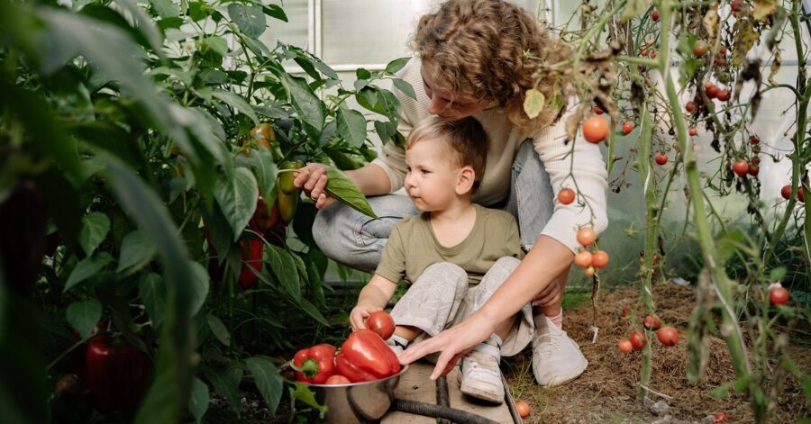 A mom and son in their family garden.