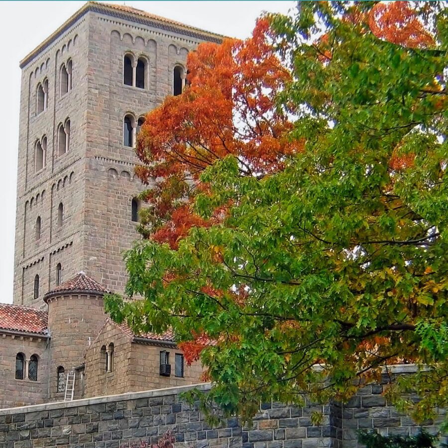 Homeschoolers can explore medieval art and architecture at the Met Cloisters, sparking imagination and enriching history lessons with a unique hands-on learning experience.