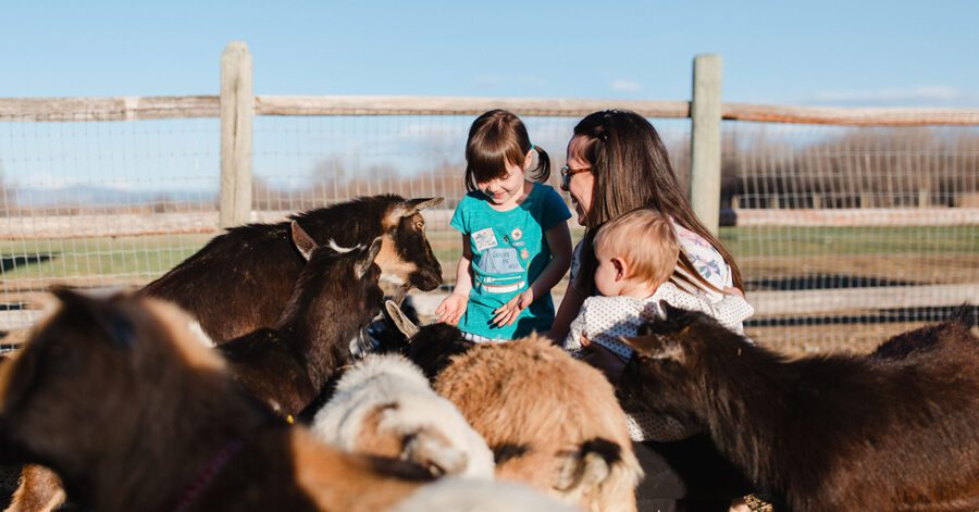 Homeschool family at a petting zoo