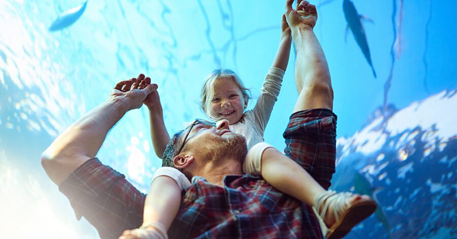 A homeschool dad with daughter on his shoulders in an aquarium
