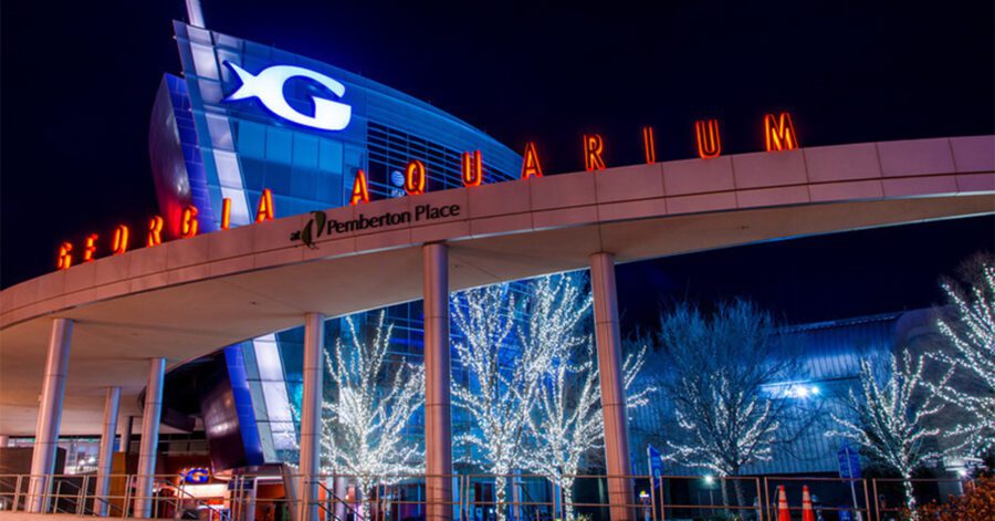 The Georgia Aquarium, one of the top homeschool field trips in Atlanta