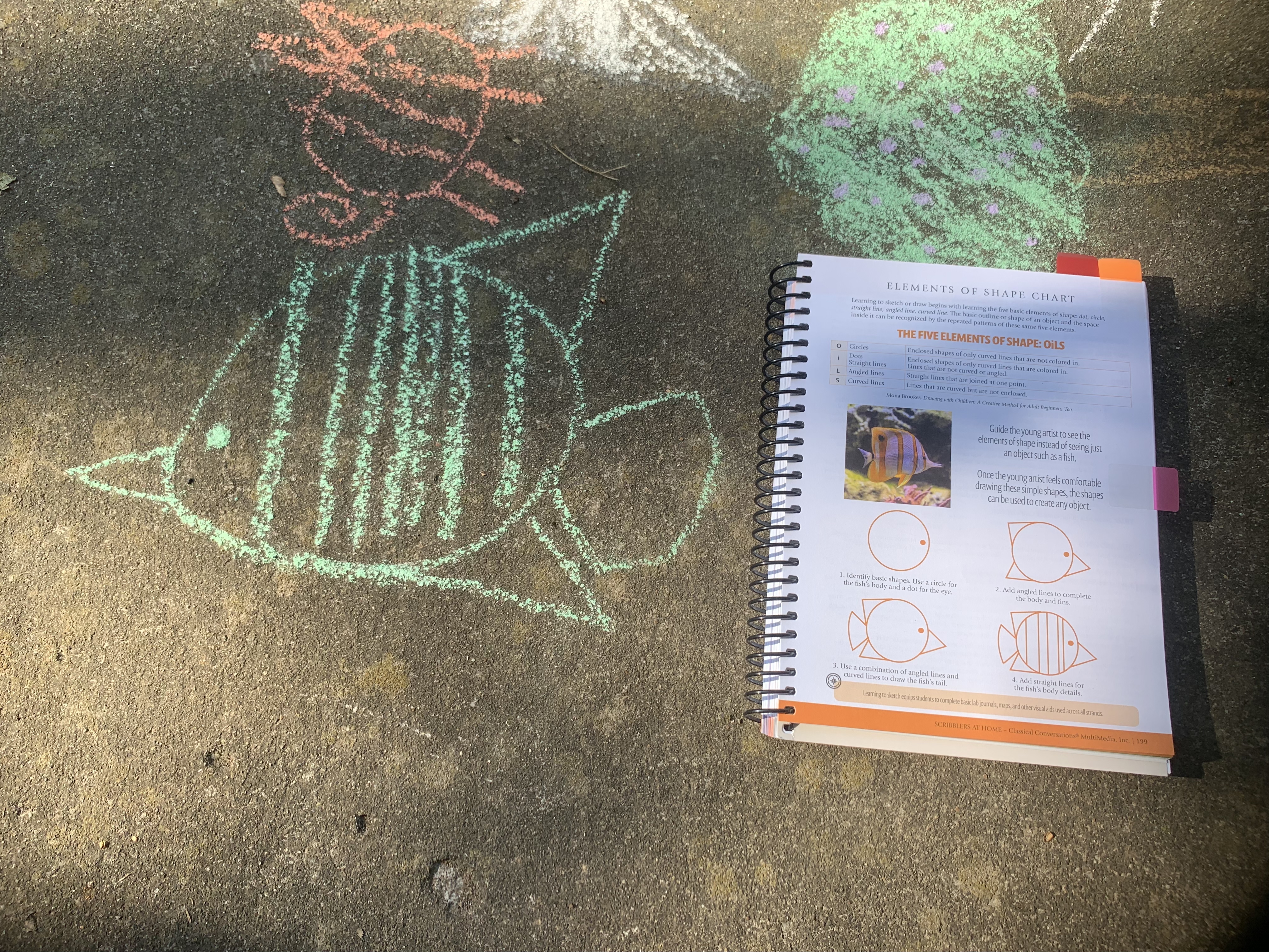 Fish chalk art using Scribblers at Home 