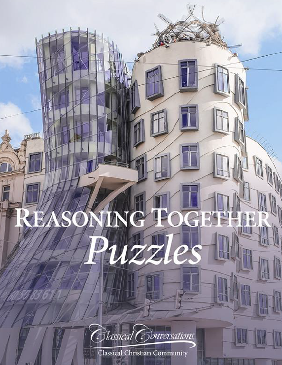 Reasoning Together, Puzzles