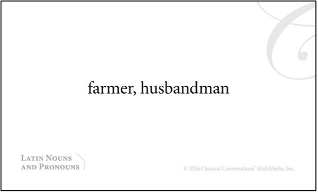 Latin noun flashcard English