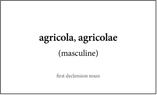 Latin noun flashcard front