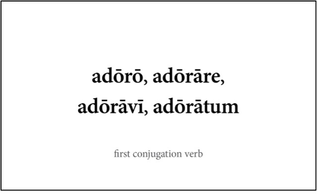 Latin flashcard verb Latin