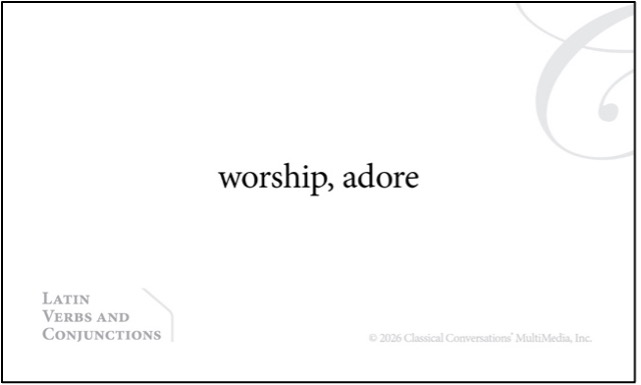 Latin Flashcard verb English