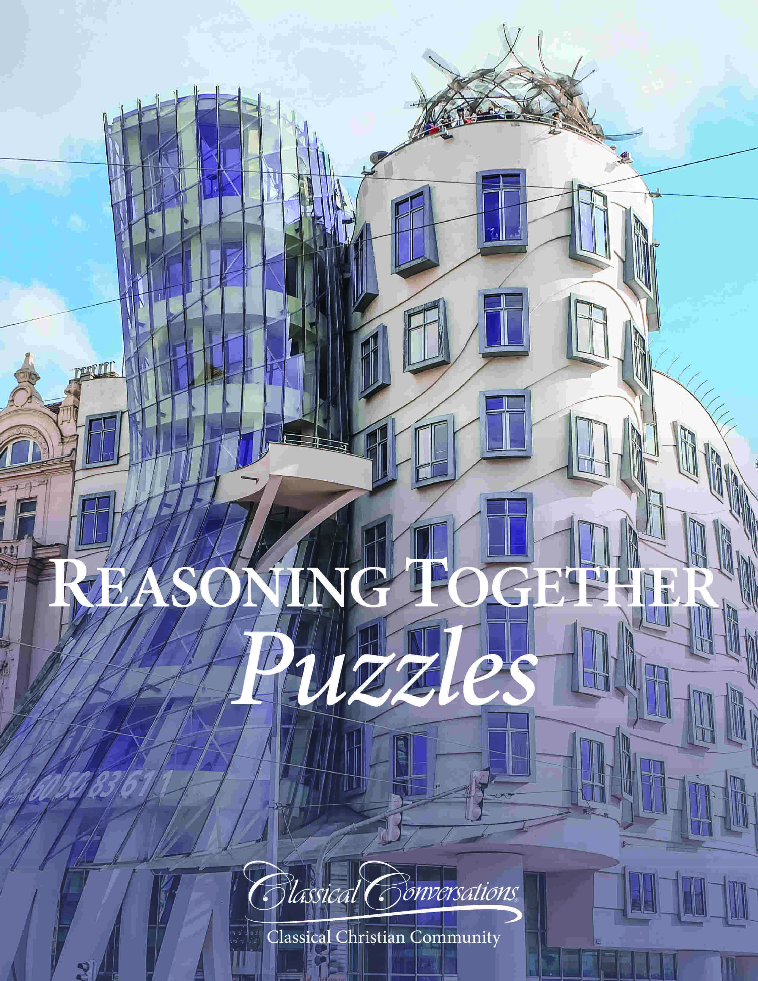 Reasoning Together Puzzles