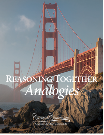 Reasoning Together Analogies