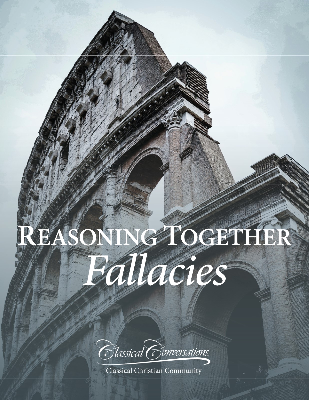 Reasoning Together Fallacies
