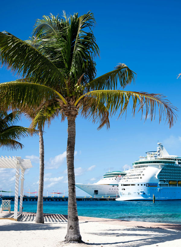 Cruise ship, beach, and palm trees