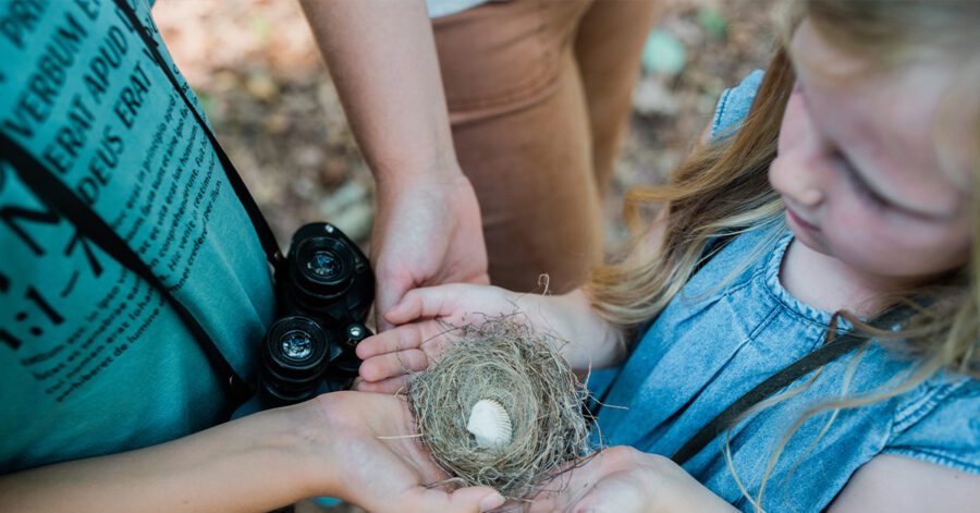 Homeschool family looking at a nest